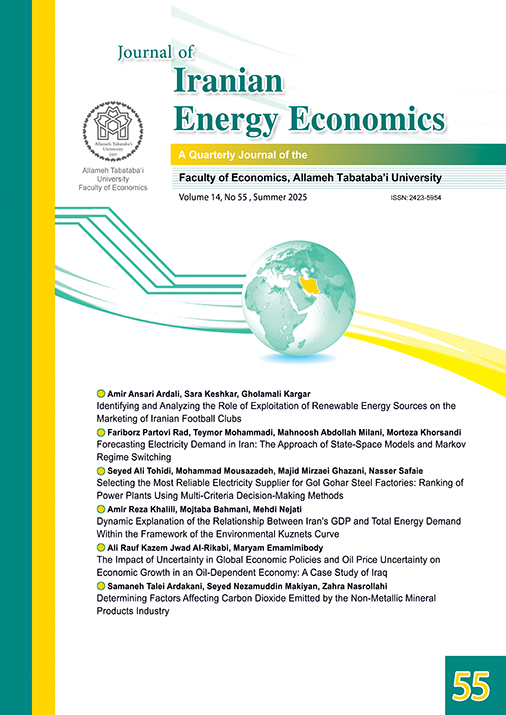 Iranian Energy Economics